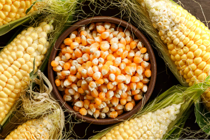 Maize Processing