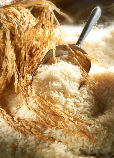 Rice Processing